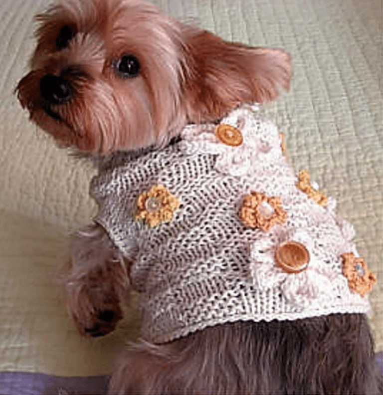 10 Free Dog Sweater Knitting Patterns for Beginners!