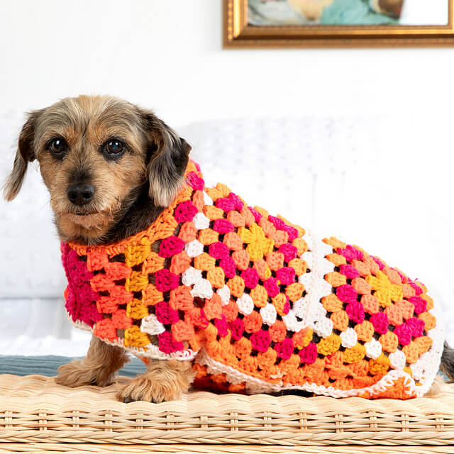 Great Granny Dog Sweater