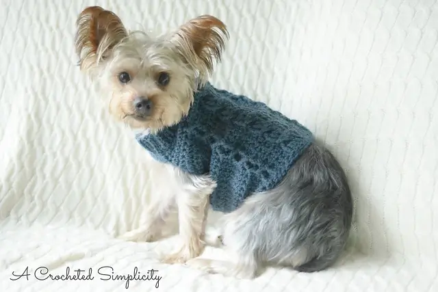 Cabled Dog Sweater