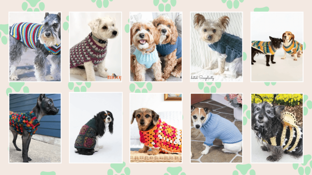 Dog sweater crochet patterns!