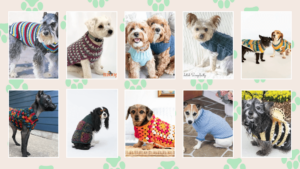 Dog sweater crochet patterns