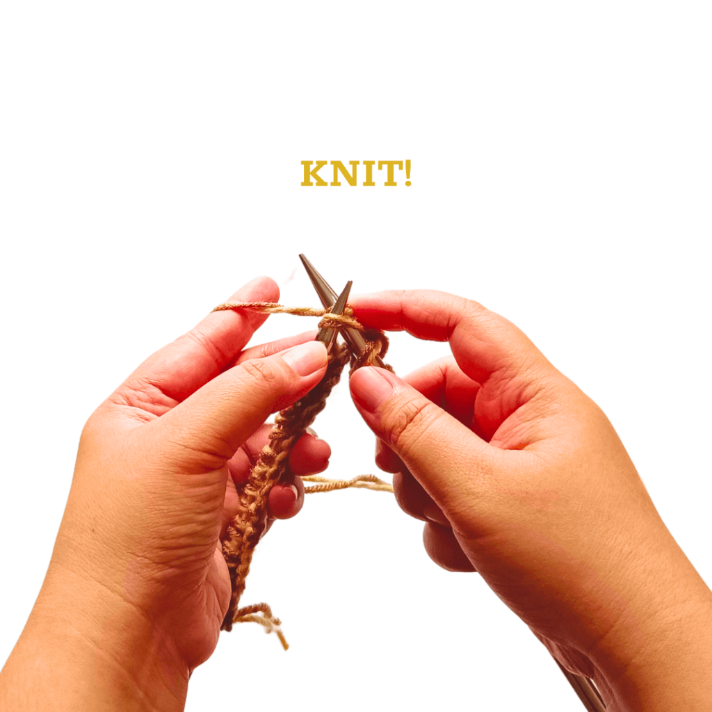 Knit all the stitches in the row. Flip your work. Knit all the stitches in that row. 