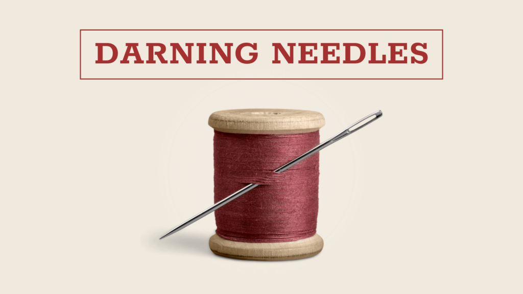 Darning needle