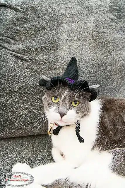 Cat's Witch Hat