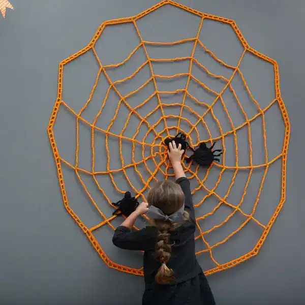 Pin the Spider on the Web