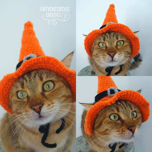 Tabitha Witch's Cat Hat