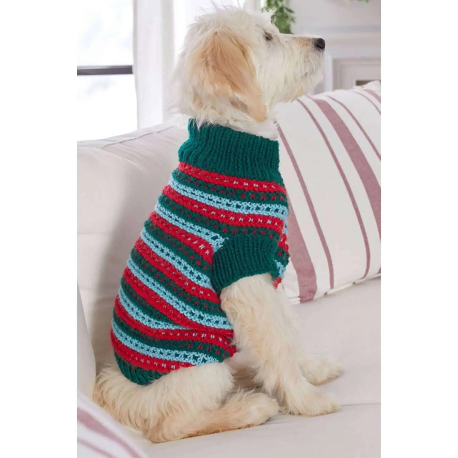 Stylish Knit Dog Sweater