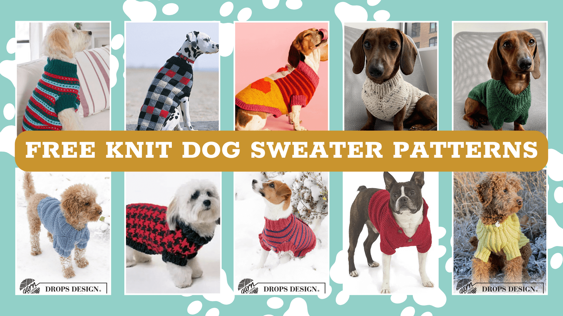free knit dog sweater patterns