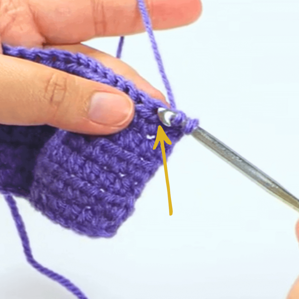 Step 2: Go into the next stitch

Go into the second stitch and pick up a loop.