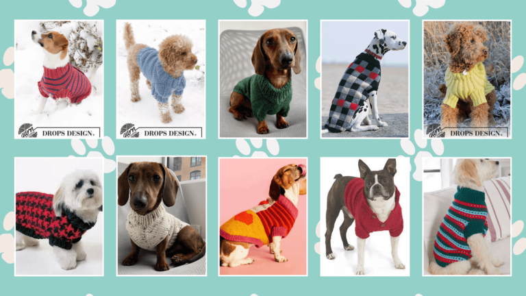 free knit dog sweater patterns