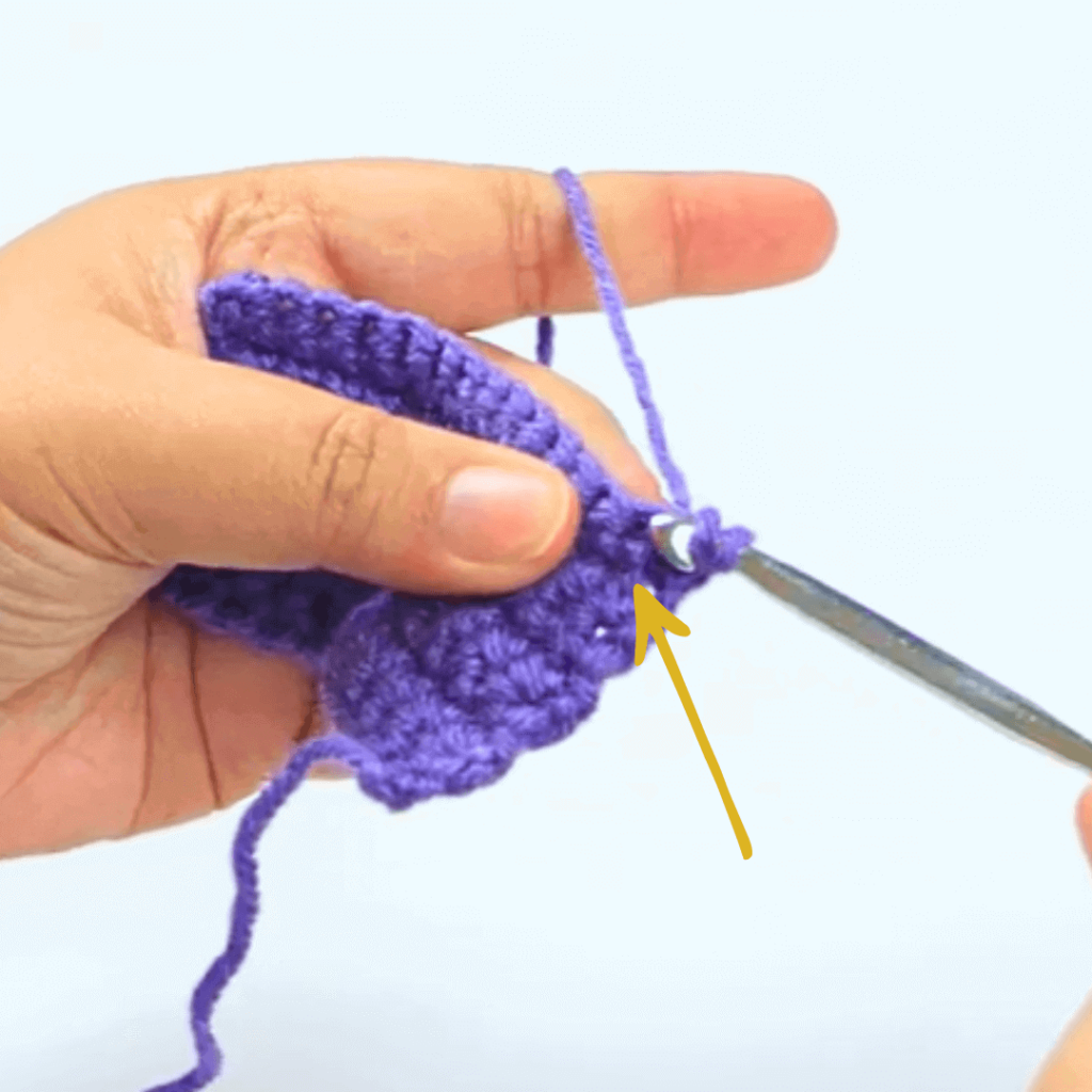 Step 2: Go into the next stitch

Go into the second stitch and pick up a loop. You should have 3 loops on your hook.