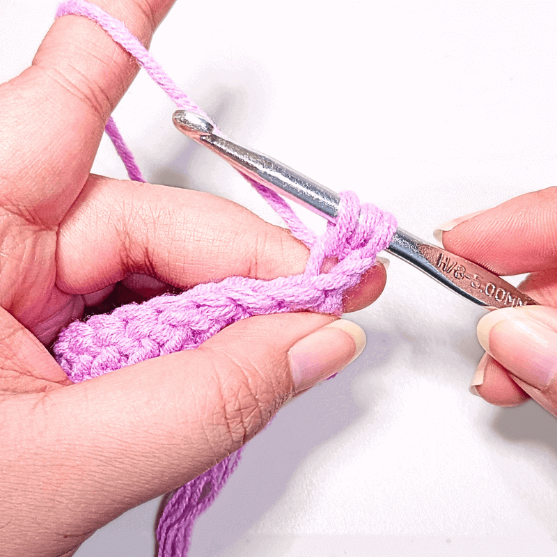 The loop I'm working on is the loop facing away from me. That's where you will make your stitches. 