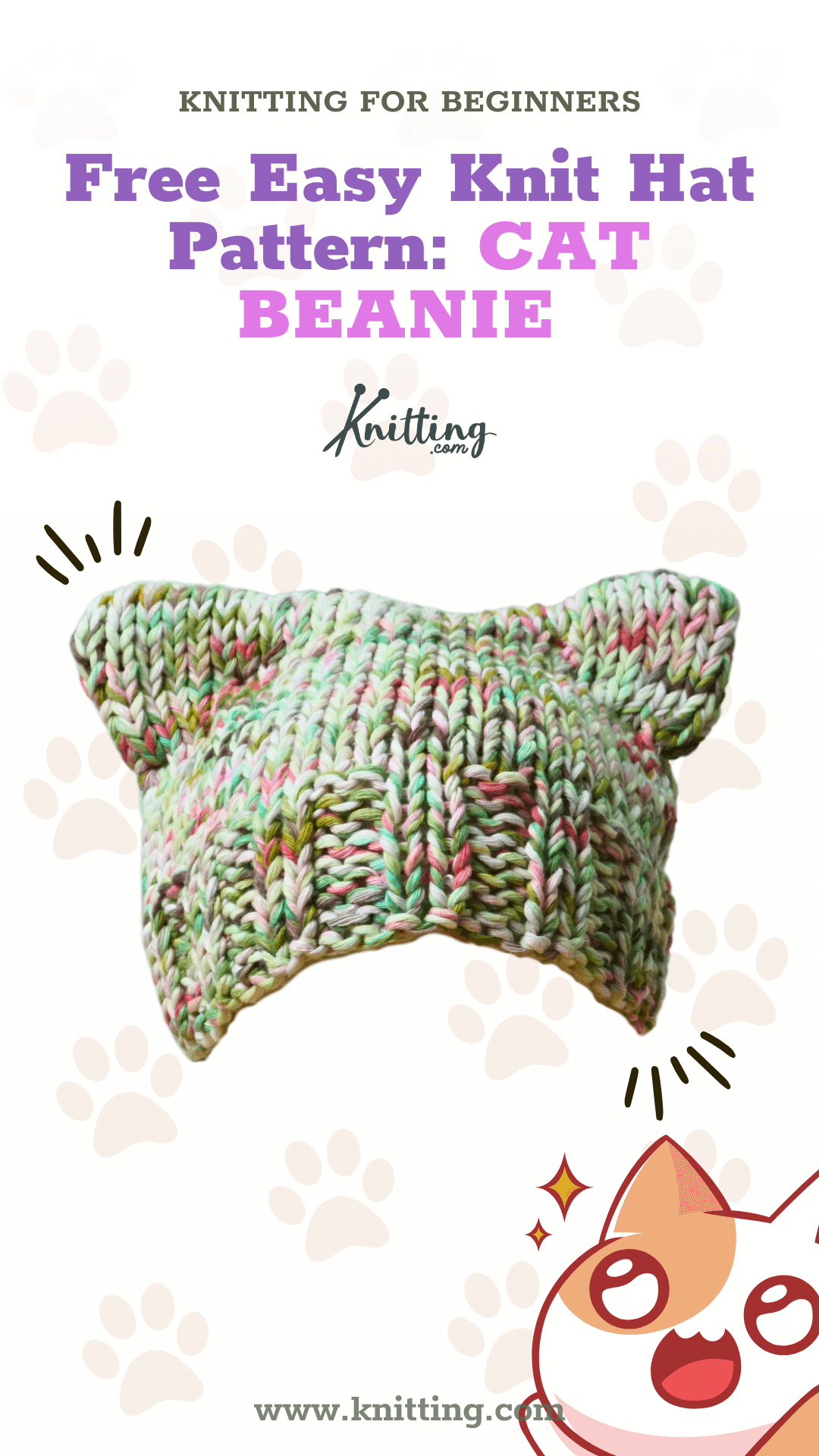 Cat Ear Beanie Knitting Pattern