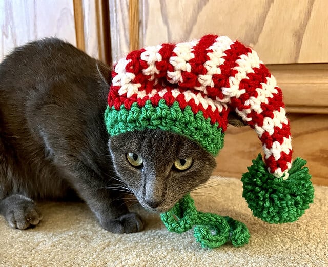 Cat Small Dog Elf Hat