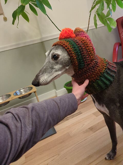 Greyhound Winter Hat