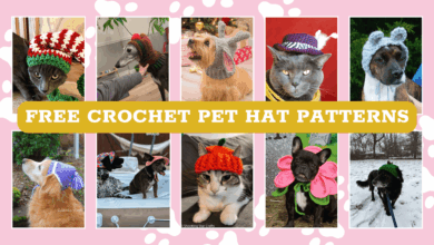 crochet hat patterns for pets